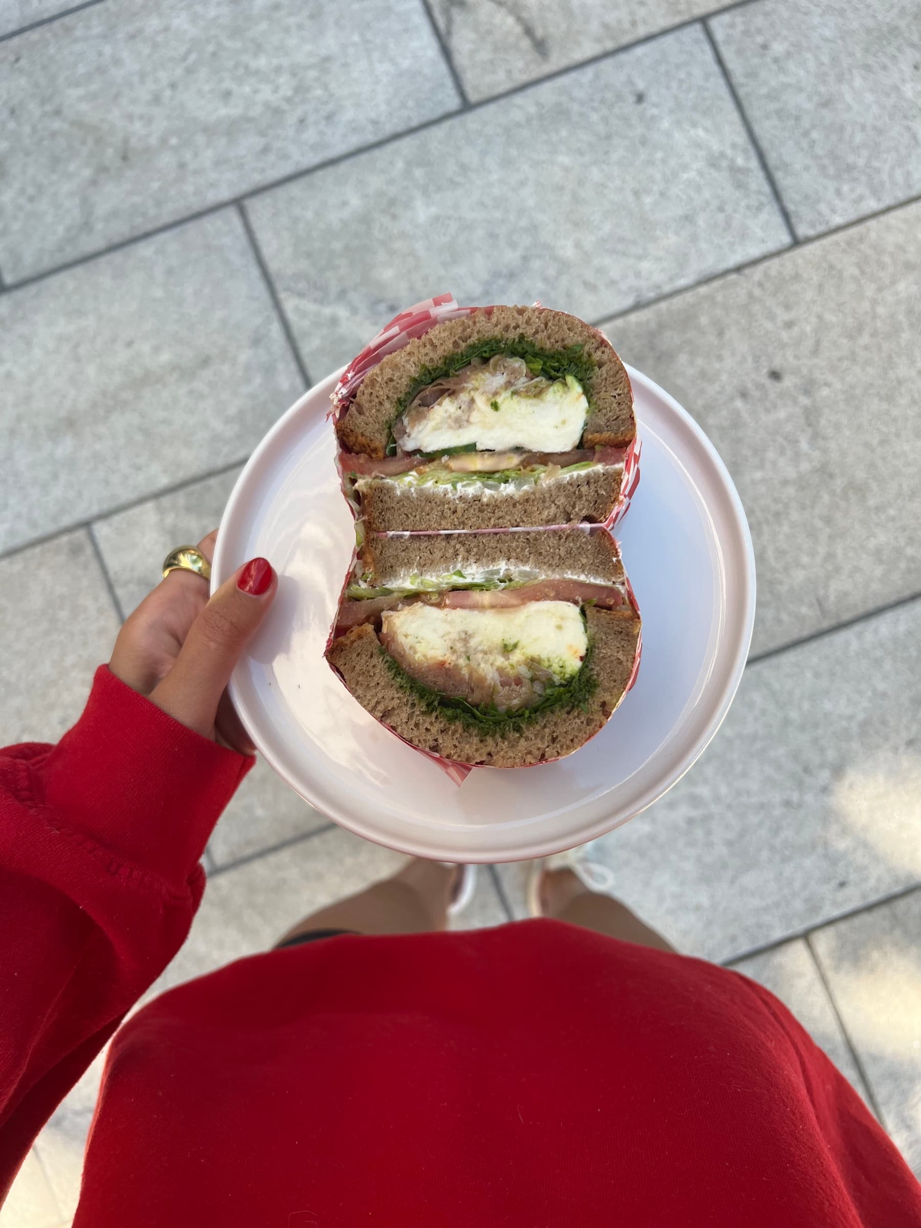Hand holding a plate with a sandwich